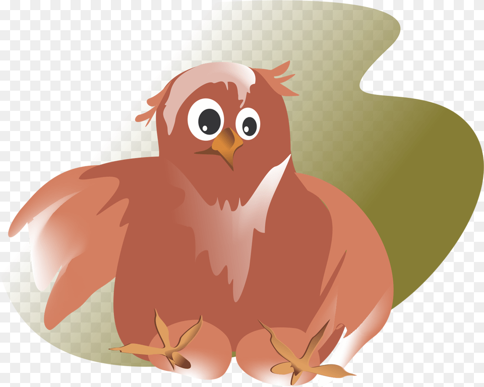 Owl Vector Figure Bird Ruffled Sad Bird Picture Sad Portable Network Graphics, Animal, Beak, Fish, Sea Life Png Image
