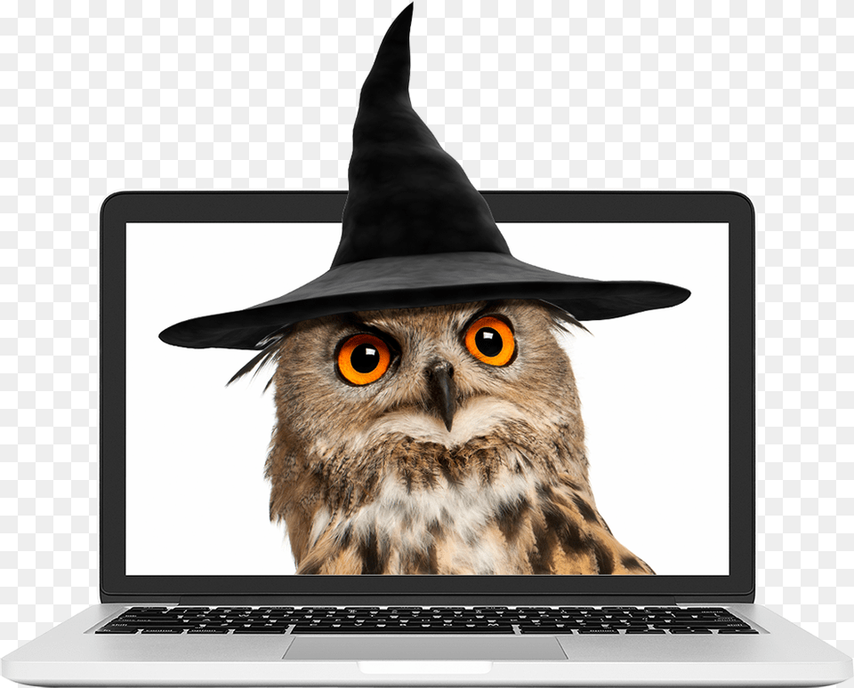 Owl Wearing A Wizard Hat Netbook, Pc, Laptop, Computer, Electronics Free Png
