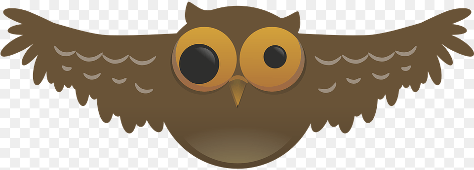 Owl Weird Bird Nocturnal Pupil Wide Flying Wings Flying Owl Pics Cartoon, Animal, Beak, Fish, Sea Life Free Png Download