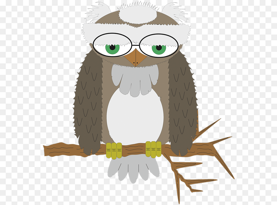 Owl Wisdom Bird Of Prey On Pixabay Bird Of Prey, Baby, Person, Animal, Eagle Png Image