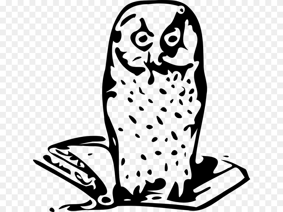 Owl Wise Wisdom Wise Old Owl Bird Knowledge, Gray Free Png
