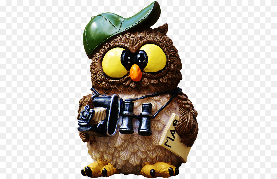 Owl With Binoculars, Figurine, Person Png