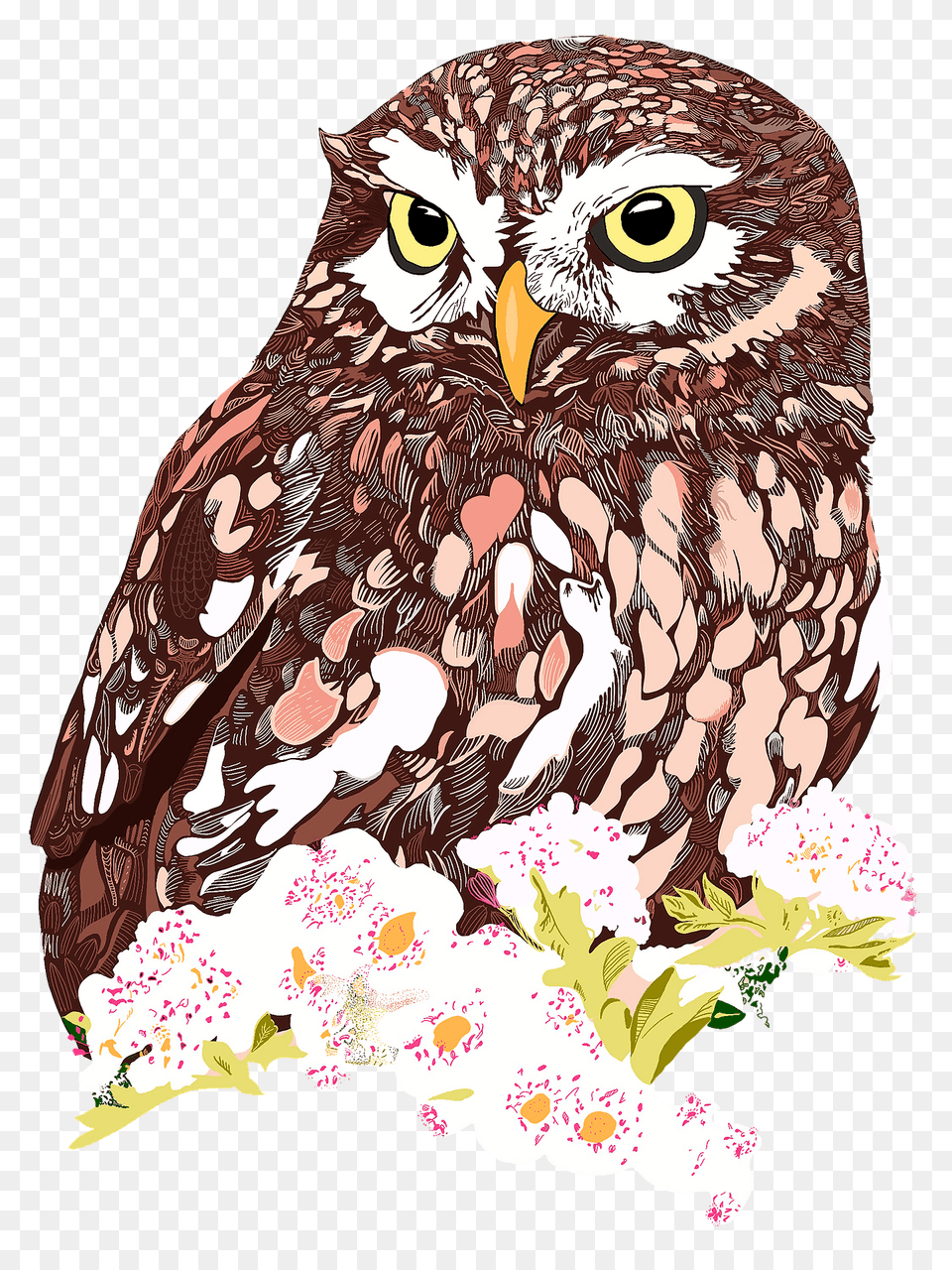 Owl With Flowers Clipart, Animal, Bird, Art Free Png Download