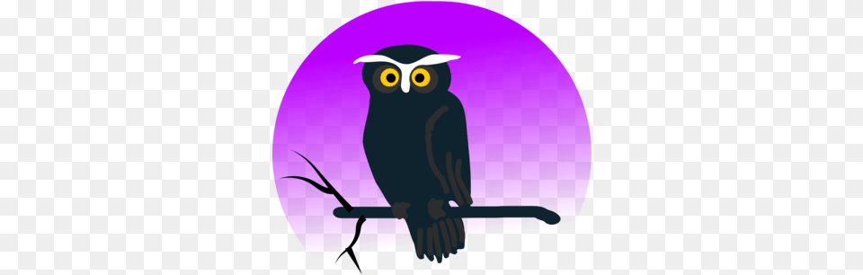 Owlartmonochrome Photography Clipart Royalty Halloween Owl Clipart, Animal, Bird, Beak Free Transparent Png
