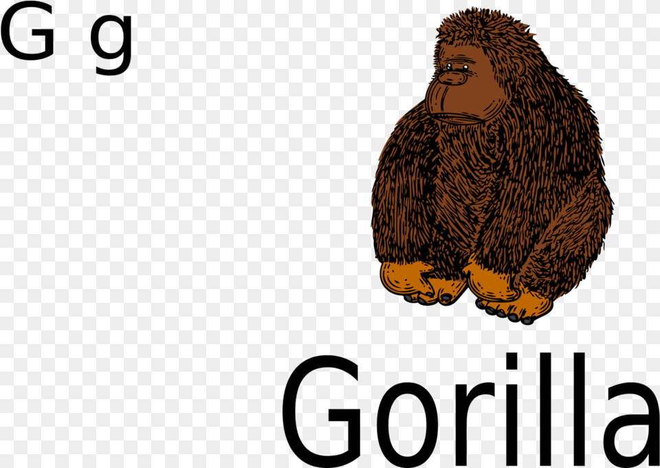 Owleagletext Gorilla, Animal, Bird, Face, Head Png