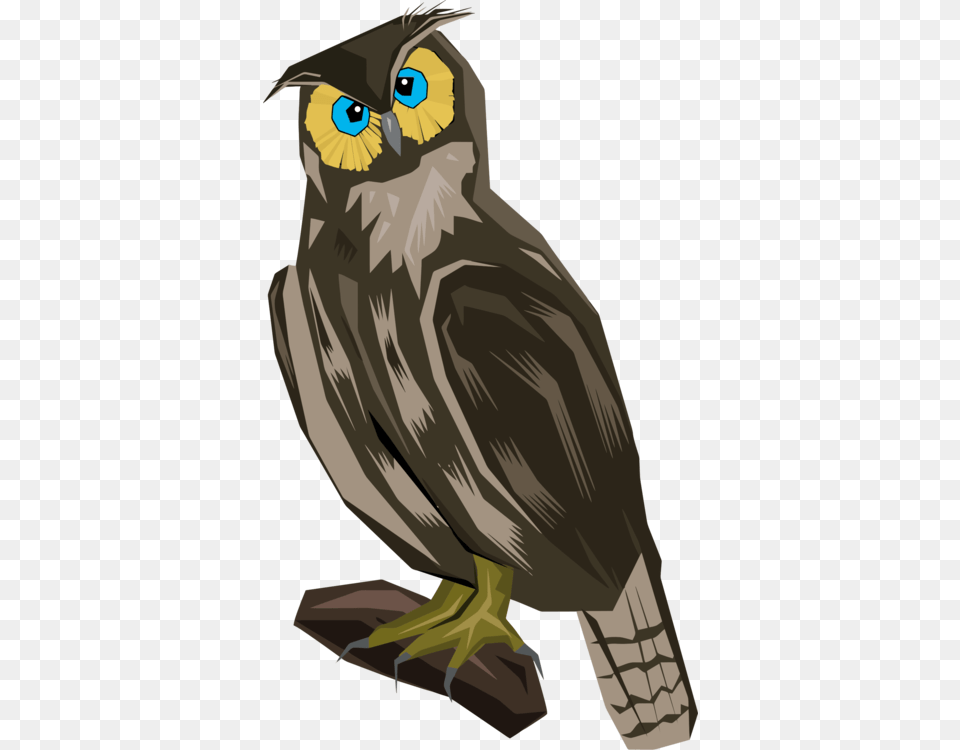 Owleaglewing, Animal, Beak, Bird, Person Png Image