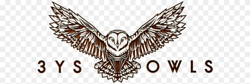 Owls Brandmark Identity Web App Owl Design Website Owl, Animal, Bird Free Transparent Png