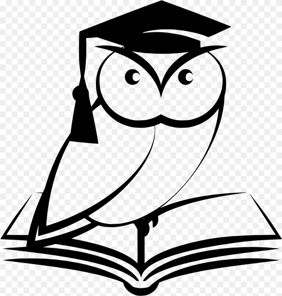Owls Clipart Line Art Book Owl, Gray Free Png Download