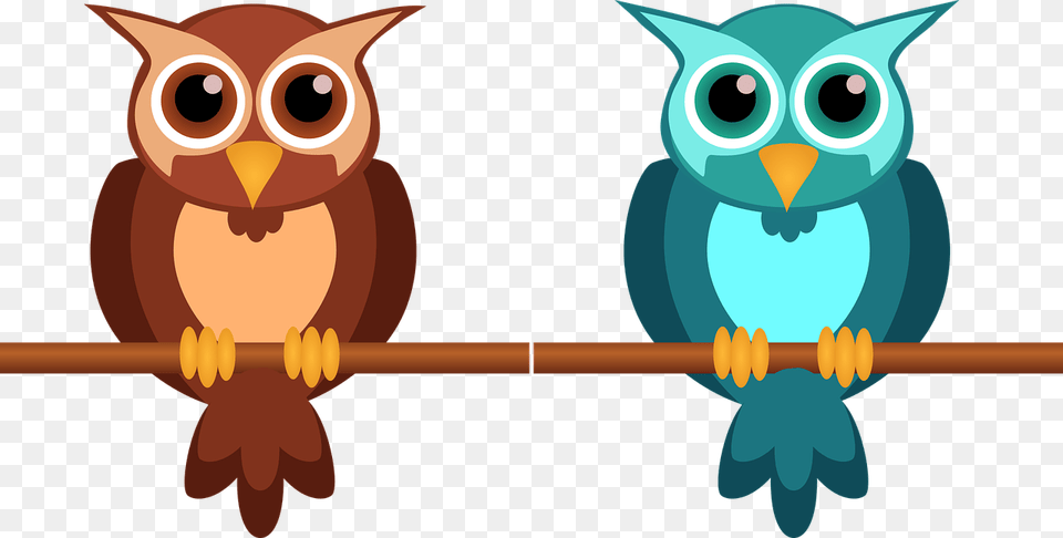 Owls U0026 Bird Vectors Pixabay, Animal, Owl Free Png Download