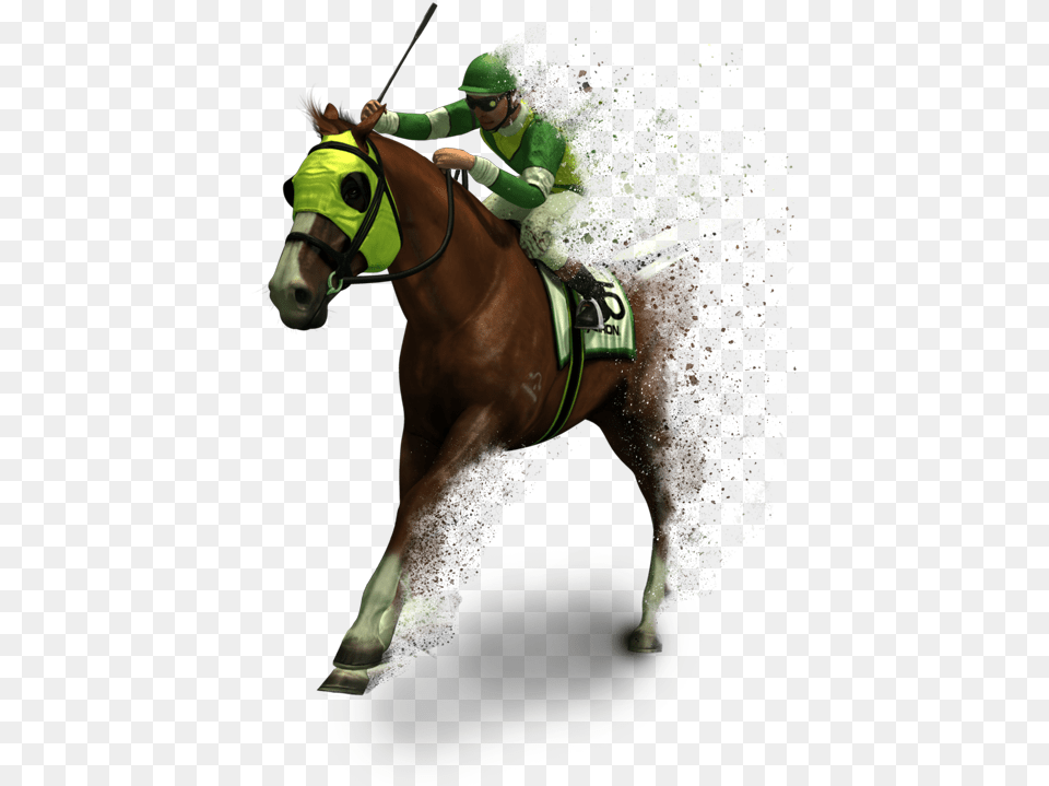 Own Train And Race Your Own Virtual Horse Horse Race, Mammal, Animal, Equestrian, Person Free Png Download