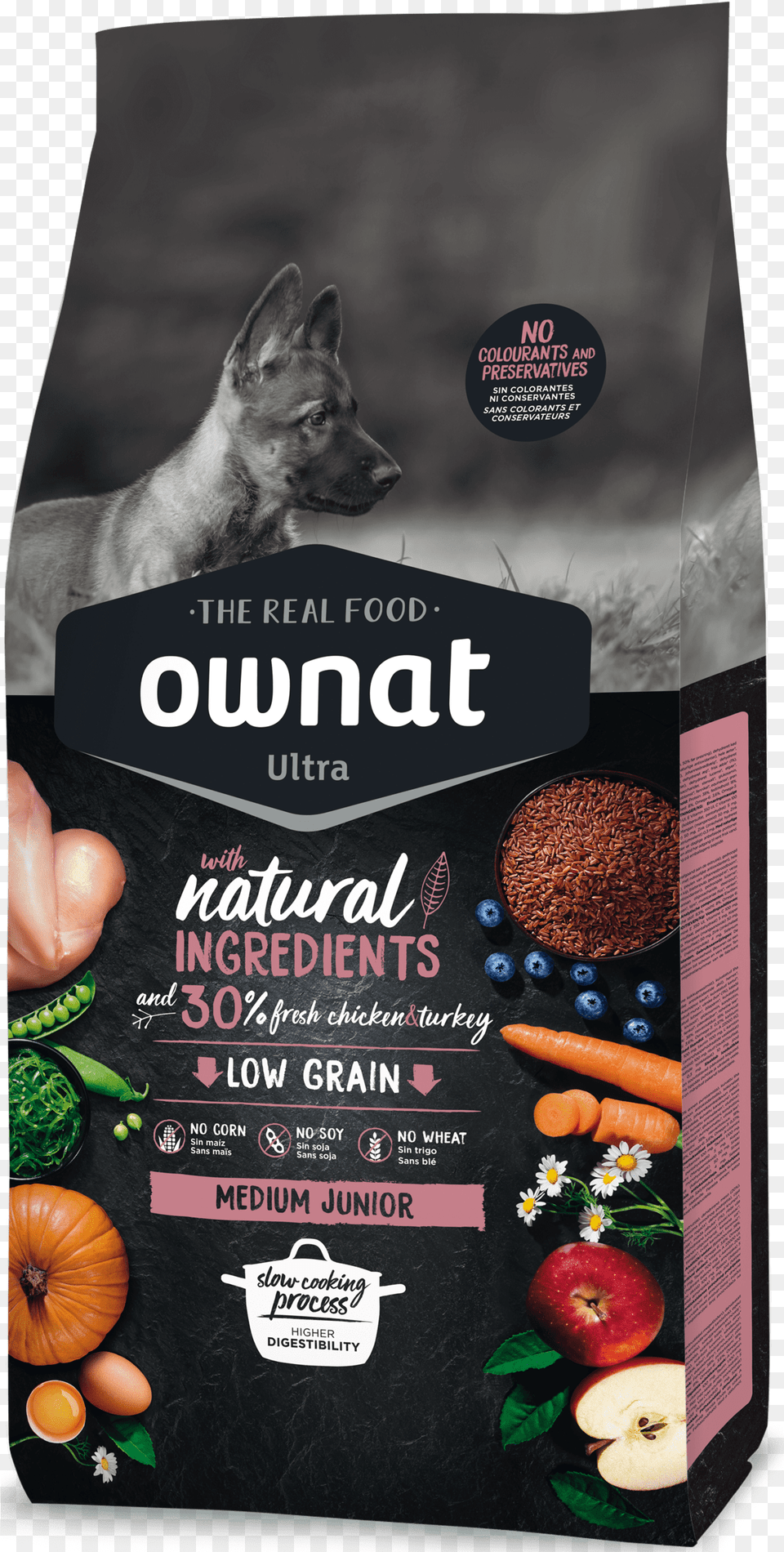 Ownat Croquette Chien, Advertisement, Poster, Animal, Canine Png Image