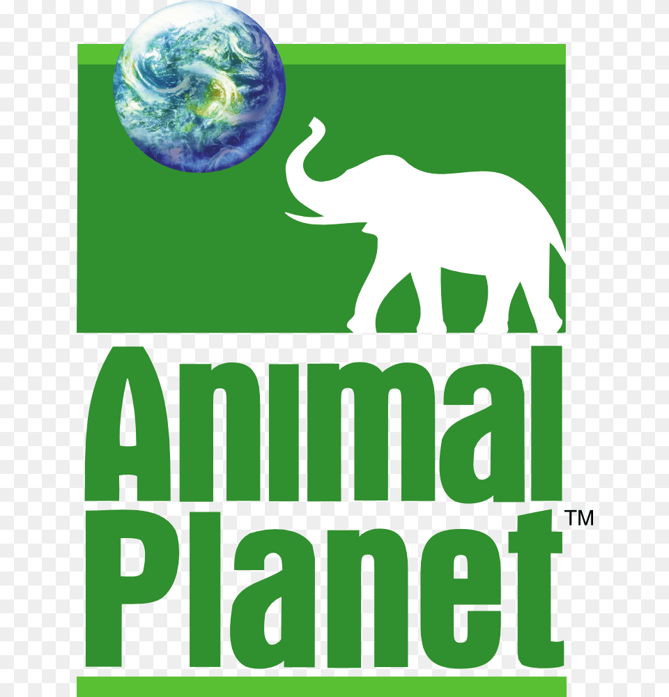 Owner Of The Brand Zoo On Animal Planet, Sphere Free Png Download