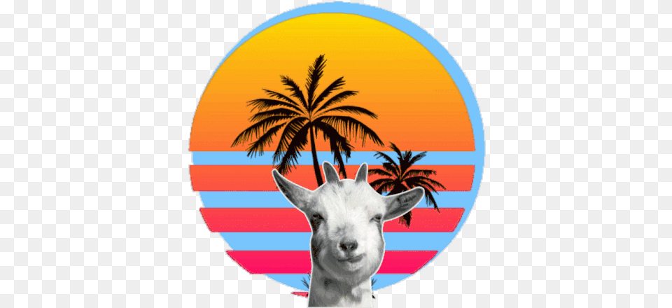 Owo Goat Sticker Owo Goat Chewing Discover U0026 Share Gifs Tree Instagram Highlight Cover White, Livestock, Animal, Kangaroo, Mammal Png Image