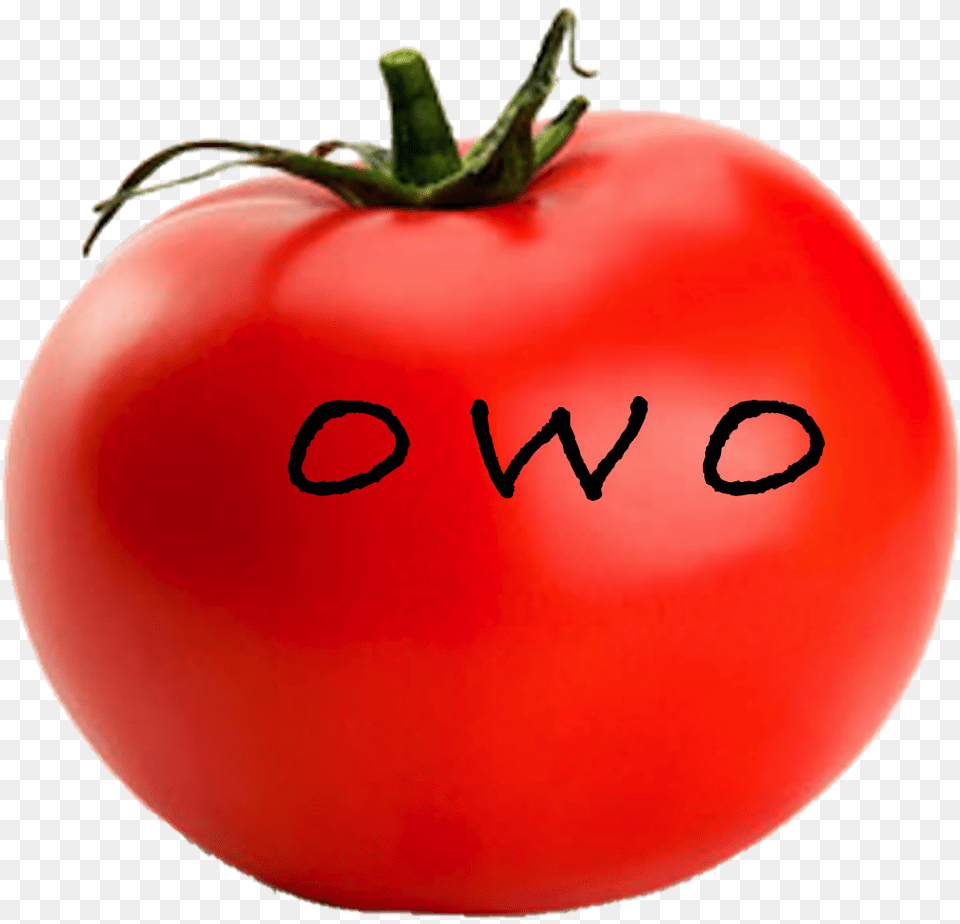 Owo Tomato Single Fruits And Vegetables, Food, Plant, Produce, Vegetable Free Transparent Png