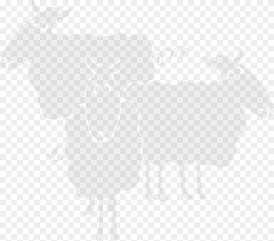 Ox, Livestock, Animal, Mammal, Baby Free Transparent Png