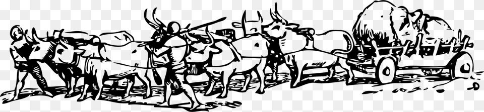 Ox Cattle Bullock Cart Kankrej Clip Art, Gray Png