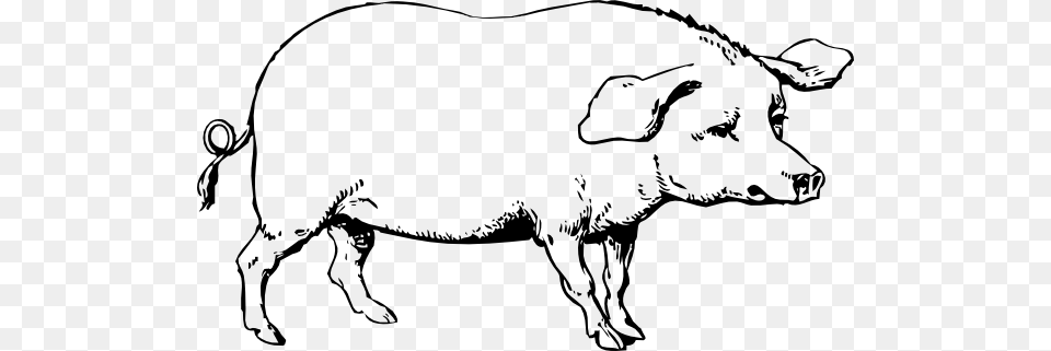 Ox Clip Art, Animal, Pig, Mammal, Wildlife Free Png