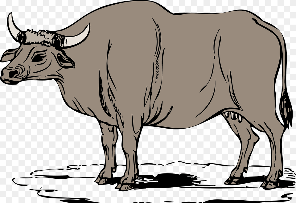 Ox Clipart, Animal, Bull, Cattle, Livestock Free Transparent Png