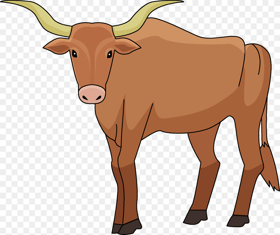 Ox Clipart, Animal, Cattle, Livestock, Mammal Png Image