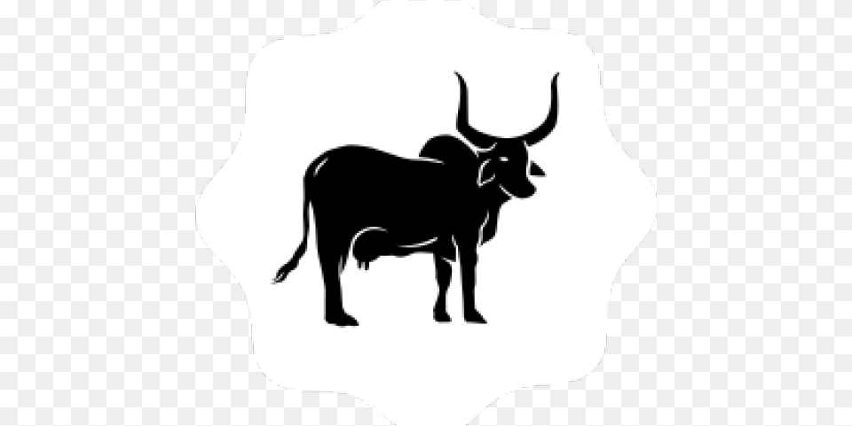 Ox Clipart Gir Cow, Animal, Bull, Mammal, Cattle Png Image