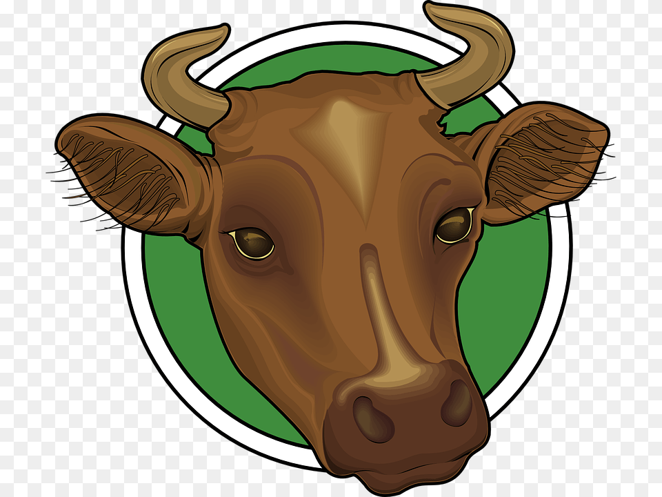 Ox Clipart Head, Animal, Mammal, Bull, Livestock Png Image