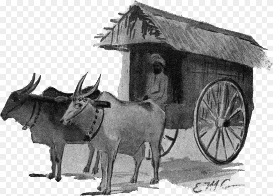 Ox Drawn Covered Wagon Encyclopedia Of Needlework, Animal, Mammal, Livestock, Cattle Png