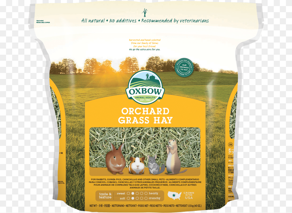 Oxbow Oxbow Orchard Grass, Advertisement, Plant, Poster Png