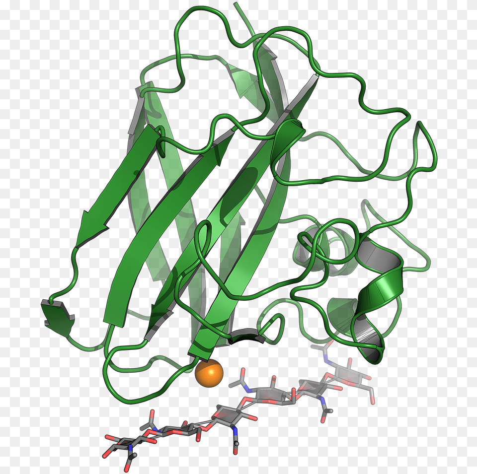 Oxidative Cleavage Of Polysaccharides Illustration Png Image