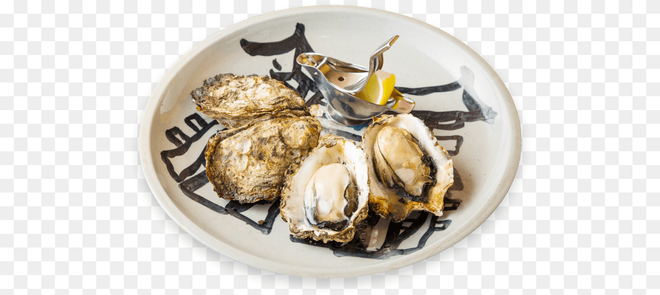 Oyster, Seafood, Food, Animal, Sea Life Png