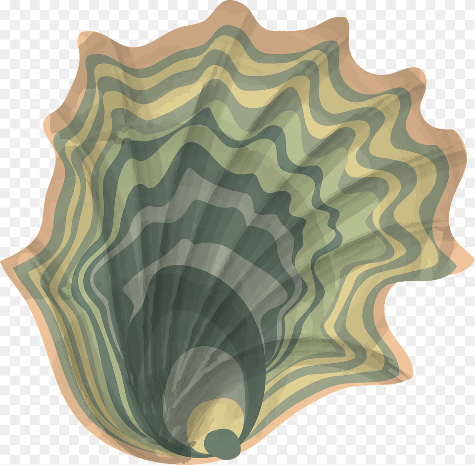 Oyster Clipart, Animal, Clam, Food, Invertebrate Png