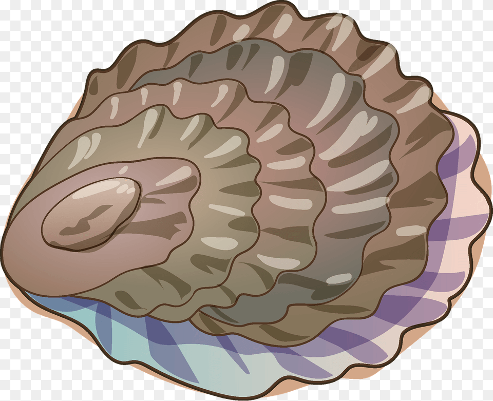 Oyster Clipart, Animal, Clam, Food, Invertebrate Free Transparent Png