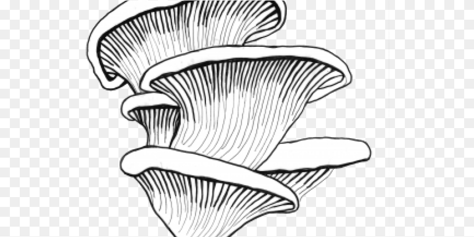 Oyster Mushroom Clipart Oyster Mushroom Black And White, Fungus, Plant, Agaric, Baby Png