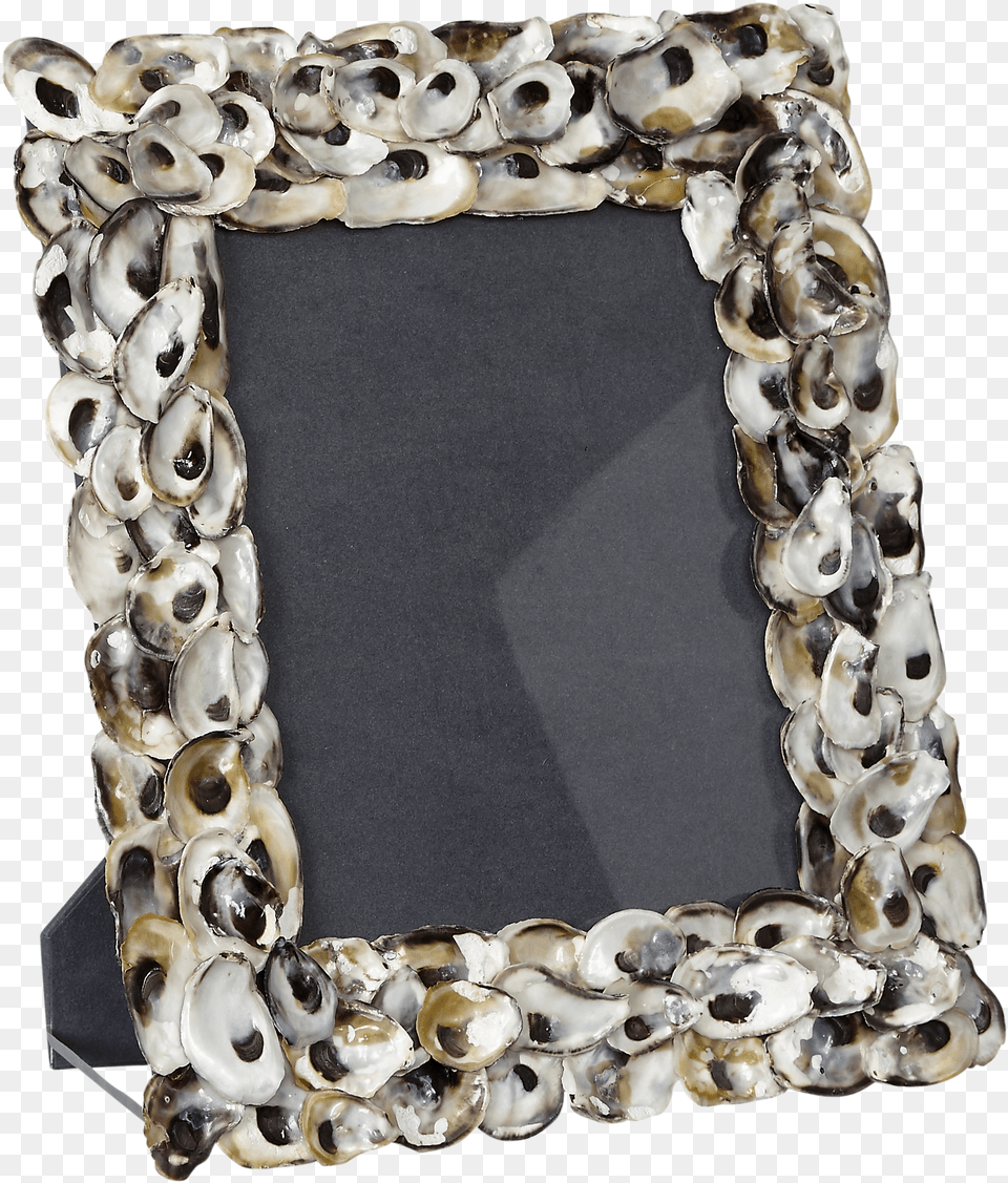 Oyster Photo Frame Free Png