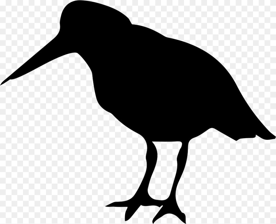 Oystercatcher Bird Of Coasts Silhouette Oyster Catcher, Animal, Beak, Kangaroo, Mammal Free Png Download