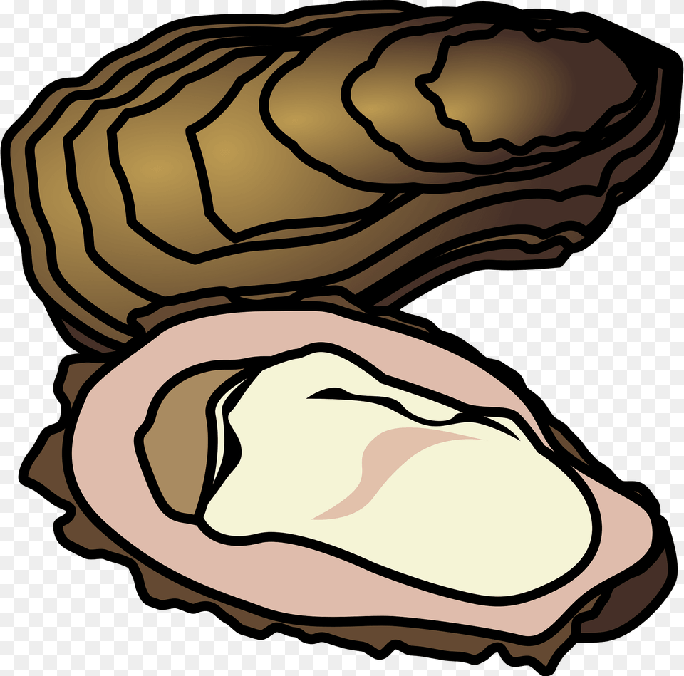 Oysters Clipart, Animal, Clam, Food, Invertebrate Png Image