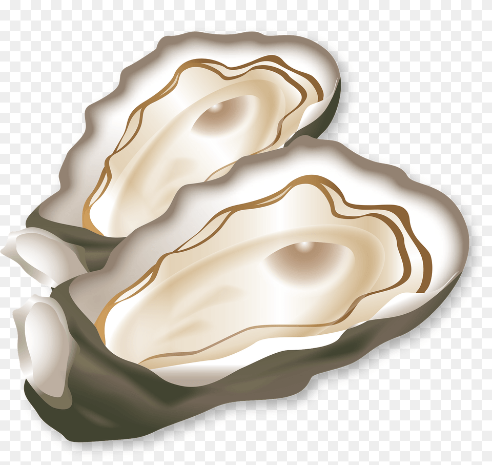 Oysters Clipart, Animal, Sea Life, Food, Seafood Png Image