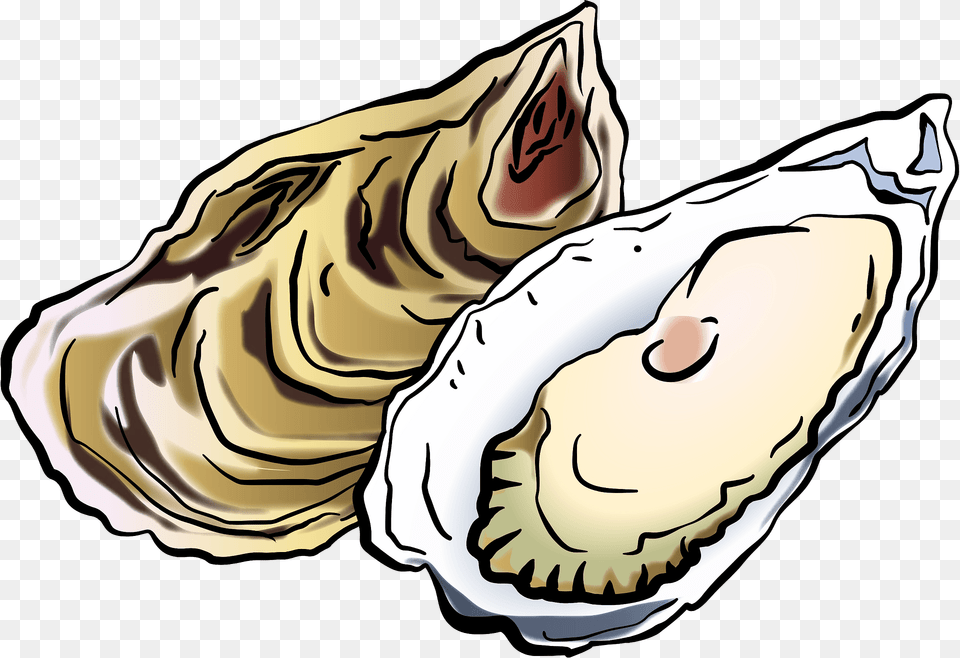 Oysters Clipart, Seafood, Food, Sea Life, Animal Free Transparent Png
