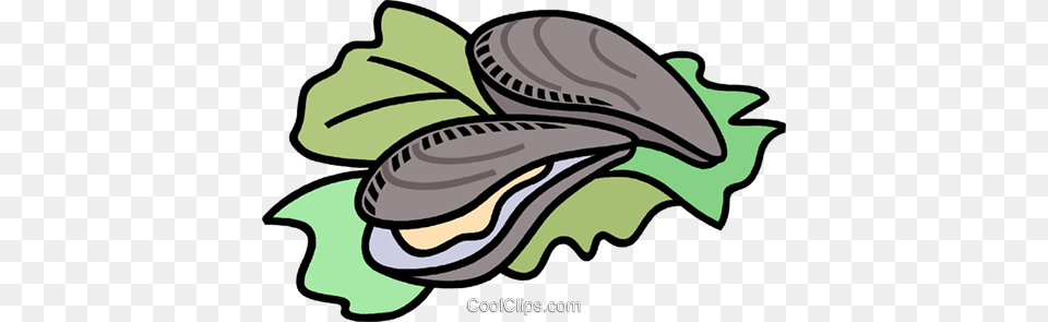 Oysters Royalty Free Vector Clip Art Illustration Oysters With Transparent Background, Animal, Clam, Seashell, Food Png Image