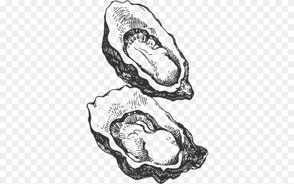 Oysters Sketch, Adult, Wedding, Person, Woman Free Transparent Png