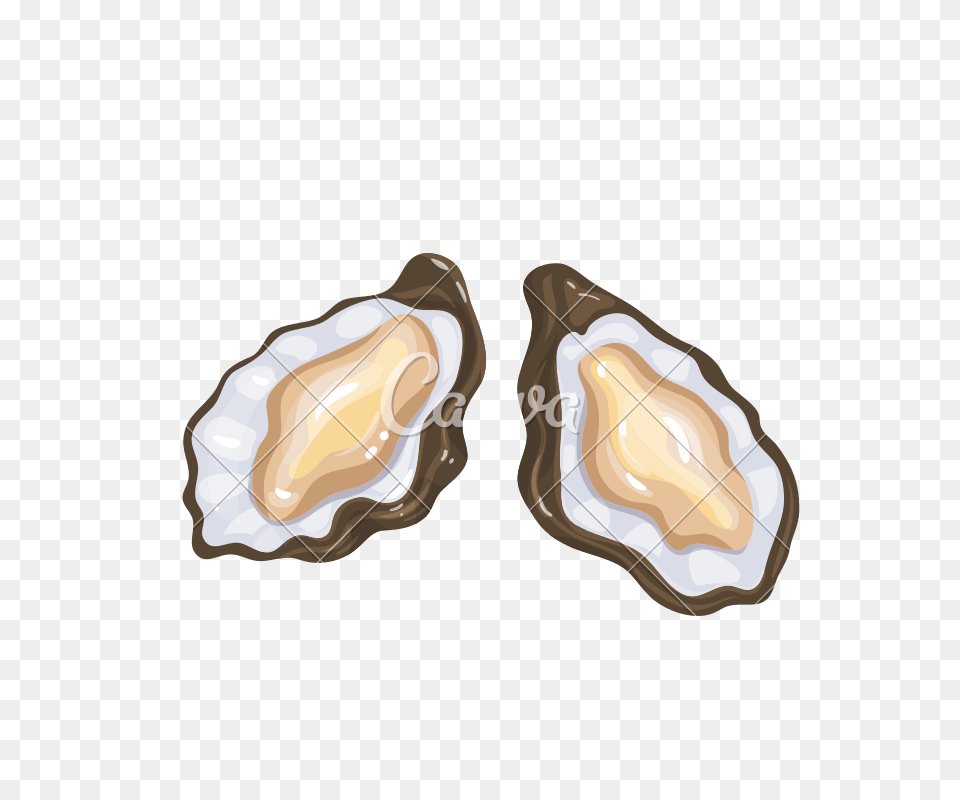 Oysters Vector Icon, Animal, Food, Sea Life, Seafood Png