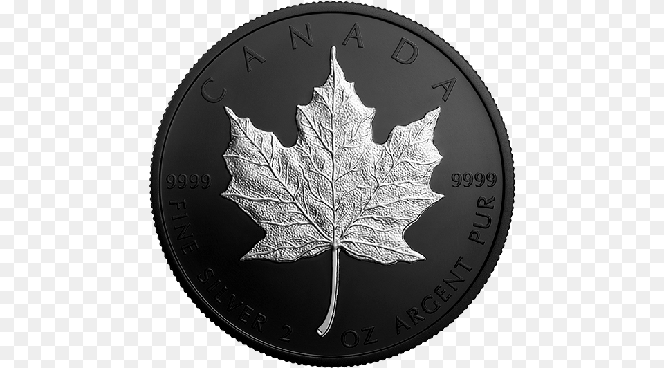 Oz 2005 Canada Maple Leaf Gold Proof, Plant, Silver Png