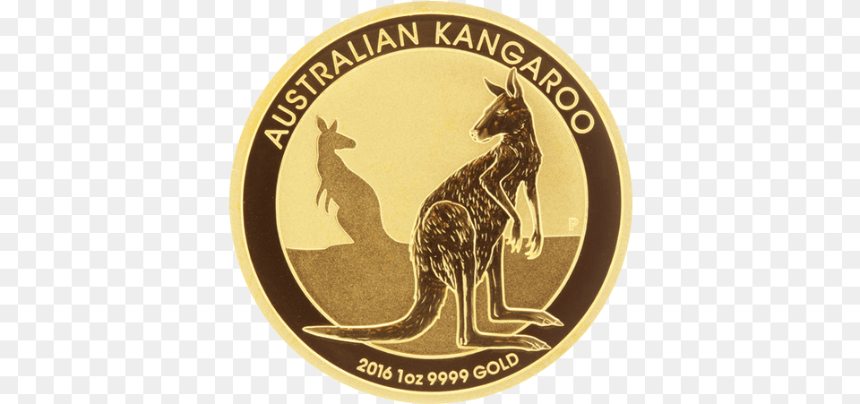 Oz Australian Gold Kangaroo Coin Irish Bullion Kangaroo, Animal, Mammal Free Png