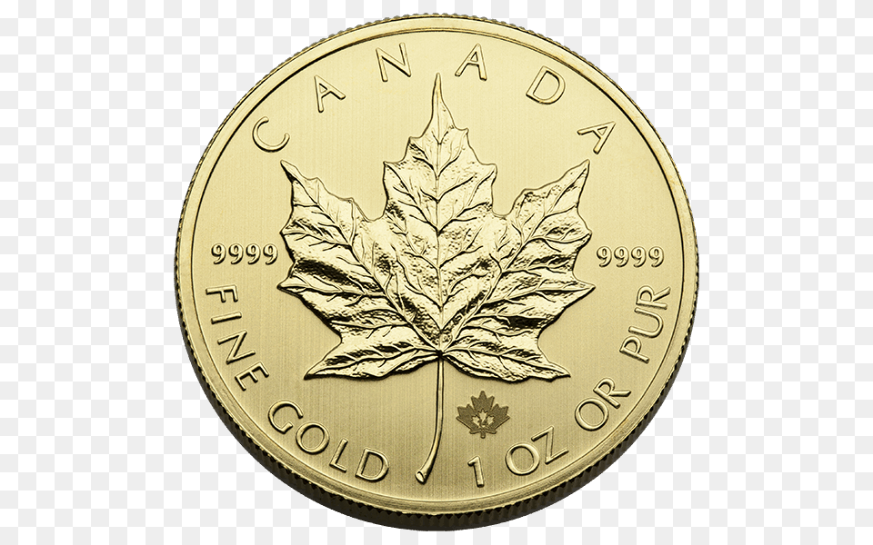 Oz Canadian Gold Maple Leaf Common Date, Plant, Silver, Coin, Money Free Png Download