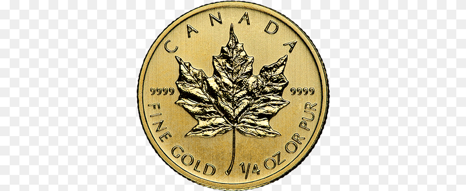 Oz Canadian Gold Maple Leaf U2014 Mint Buyers 1 10 Oz Canada Gold Coin, Plant, Silver, Accessories, Jewelry Free Png Download