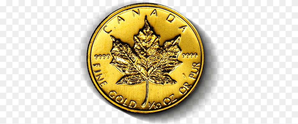 Oz Gold Canadian Maple Leaf Random Year Canadian Solid, Plant, Accessories, Jewelry, Locket Png