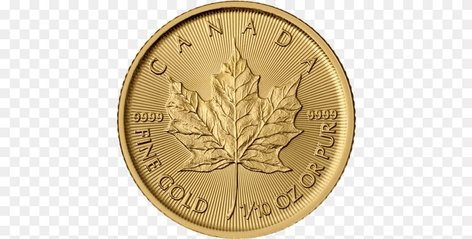 Oz Gold Maple Leaf 1 10 Oz Gold Maple Leaf, Plant, Coin, Money Png Image