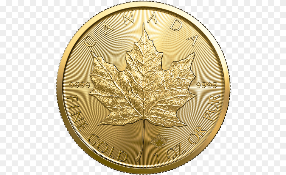 Oz Gold Maple Leaf 2020 Canadian Silver Maple Leaf, Plant Png