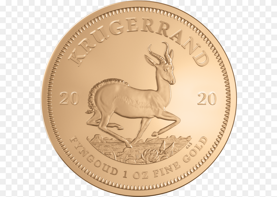 Oz Krugerrand 2020 Gold Coin Krugerrand 2020 1 Oz, Animal, Antelope, Mammal, Wildlife Png
