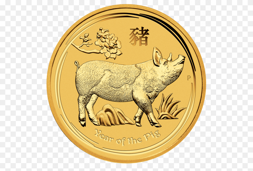 Oz Lunar Ii Pig Gold Coin Year Of The Pig Coin Gold, Animal, Mammal, Money Png