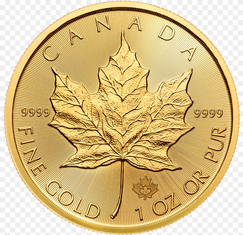 Oz Maple Leaf Gold Coin 2018 2 Maple Leaf 1 Oz Gold, Plant Free Png Download